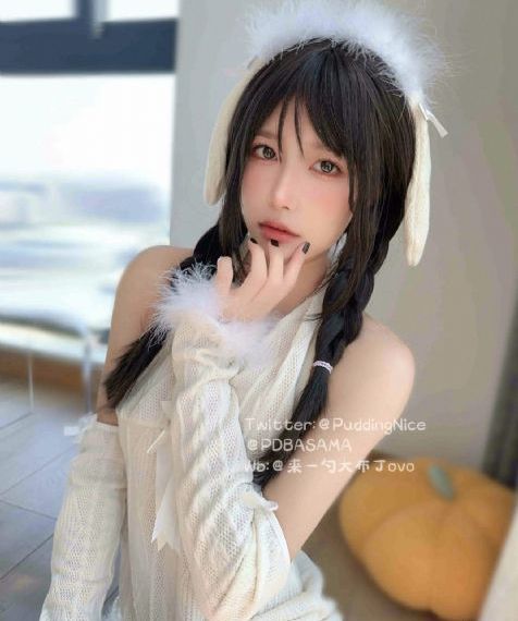 妻子奈特里动漫